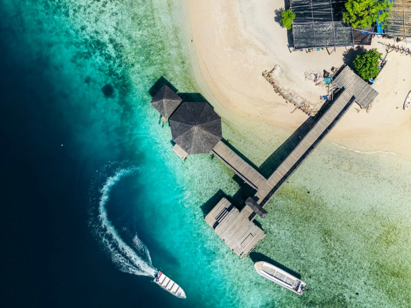 Paulau reef